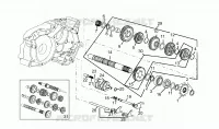 Festrad - 6 GEARS