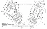 Zylinderkopf und Ventile