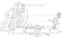 Wasserpumpenritzel kplt.