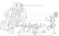 Wasserpumpenritzel kplt.