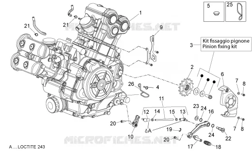Motor