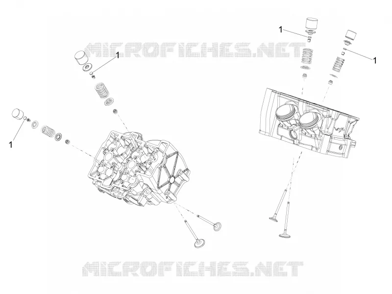 BELAG
