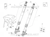 GABEL OHLINS