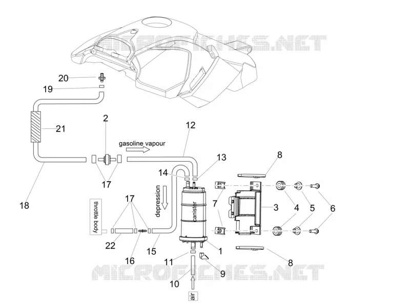 FUEL EVAP SYSTEM