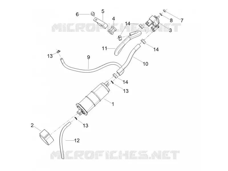 FUEL EVAP SYSTEM