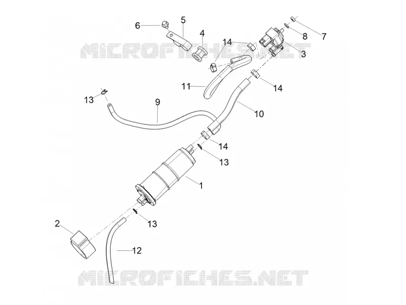 FUEL EVAP SYSTEM